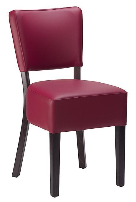 Charlie Side Chair - Cappuccino Faux Leather With Wenge Frame - main image