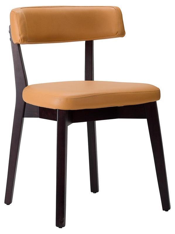 Sara Side Chair - Faux Leather With Wenge Frame - main image