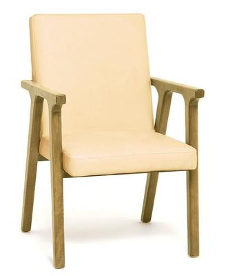 Lizzy  Lounge Chair - Fully Upholstered